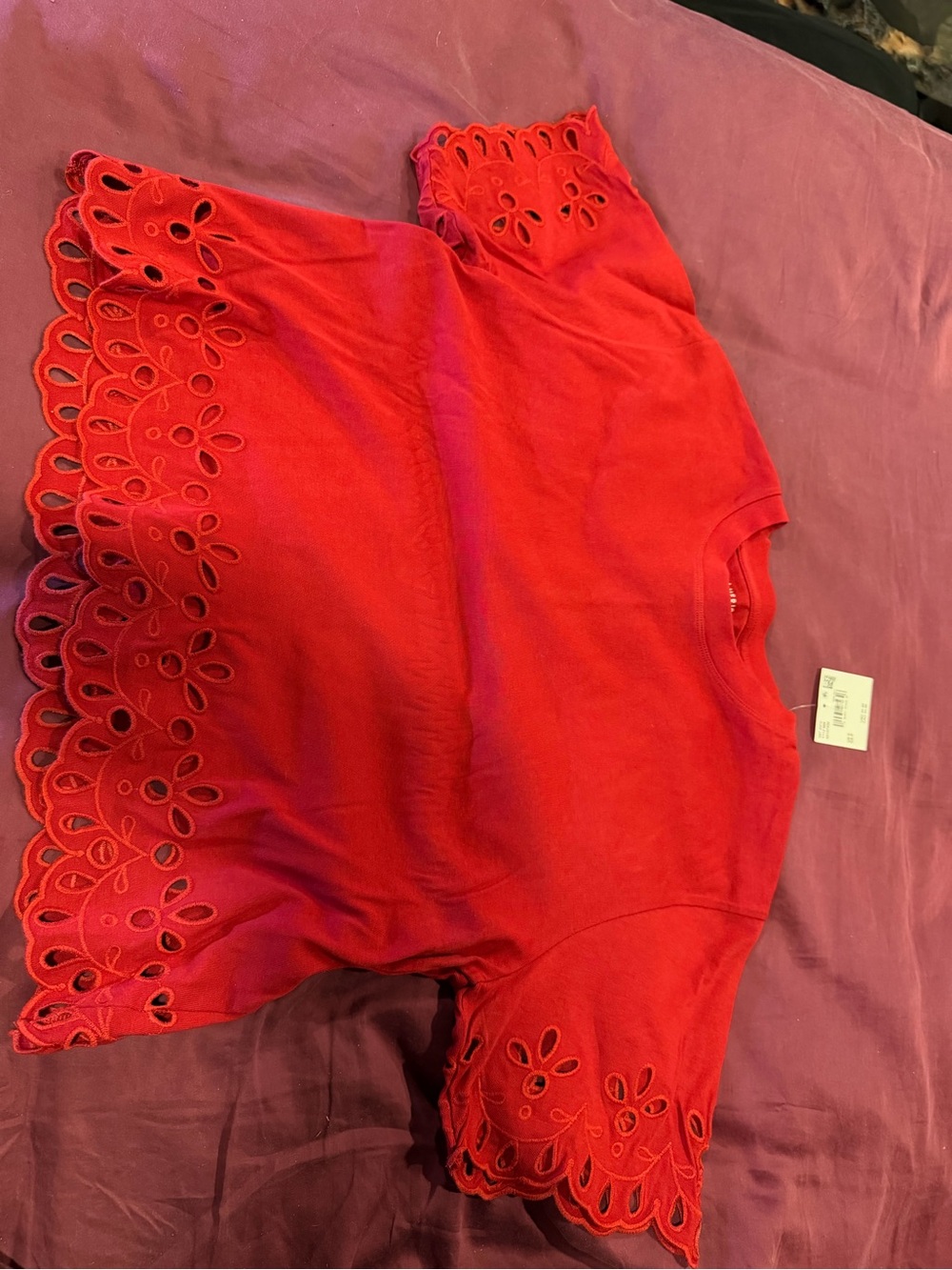 Red American eagle top